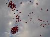 Viele Herzluftballone steigen in den Himmel